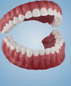 𝐇𝐢𝐝𝐨𝐧𝐞® – 𝐏𝐫𝐞𝐦𝐢𝐮𝐦 𝐃𝐞𝐧𝐭𝐮𝐫𝐞